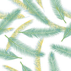 Exotic feather plumage vector seamless pattern. Cute fashion print. Airy natural feather plumage wallpaper seamless ornament.