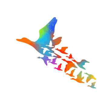 A birds flying south. Mixed media. Multi-colored ducks. Bringing ducks home. Vector illustration