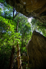 Tsingy de Bemaraha Strict Nature Reserve