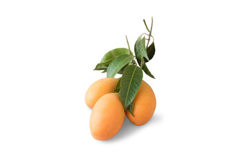 Isolated of a fruit called Sour and sweet Yellow Marian Plum or Thai plango with green leaves on white background