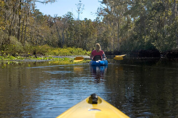 Kayaking the Creek