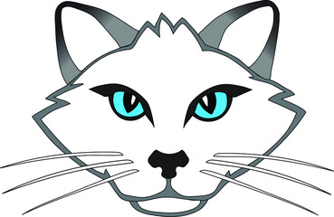 Cat face with blue eyes