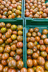 Black tomatoes in grocery shop, piglet willey's french black tomato