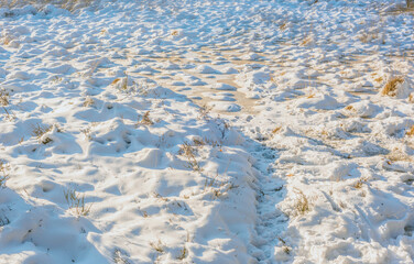 Frozen peatland covered in snow.