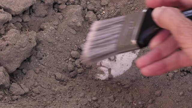 Archaeological excavation of historic relics