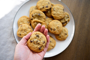 Hand holding chocolate chip cookie with plate of cookies on table