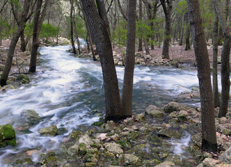 The Spectacular Ses Fonts Ufanes Of Campanet Natural Water Gushing Out Of The Soil Becoming A Wild Stream On Balearic Island Mallorca On An Overcast Sunny Winter Day