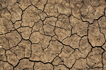 Texture of cracked dried soil. Dry ground with cracks. Brown rough surface of the soil during summer drought. Perfect for background and design. Ecology, climate change and global warming on Earth.