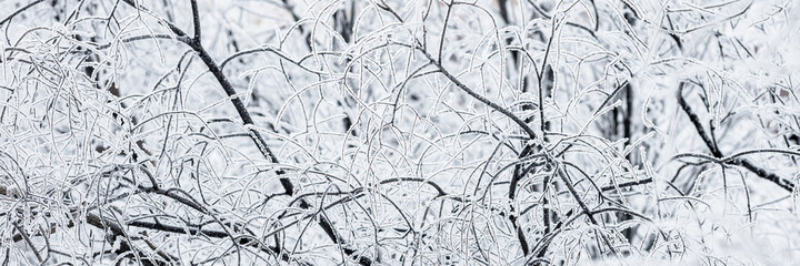 Snow and rime ice on the branches of bushes. Beautiful winter background with trees covered with...