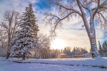 Sun Glowing Over A Wintry Park 