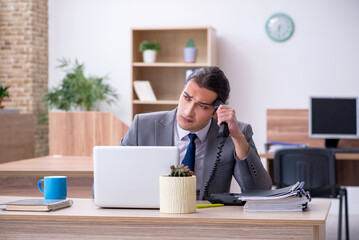 Young male employee working in the office