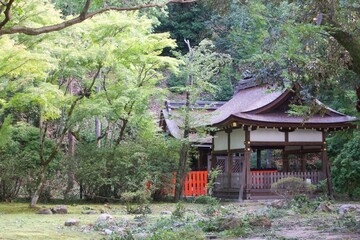 伝統的な日本の風景