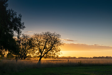 Sunset with trees in a rural environment