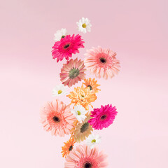 Creatively arranged various spring flowers that fall against pink background.