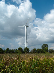 Windmill 