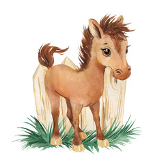 Little foal watercolor illustration, farm, hoofed animal, baby horse child picture  © Vladimir Savin