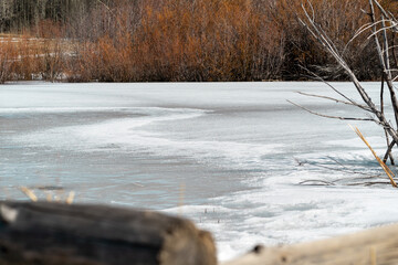 Fronzen pond in the Lake Tahoe area