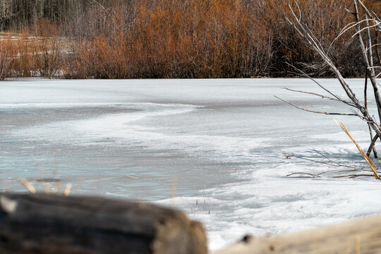 Fronzen pond in the Lake Tahoe area