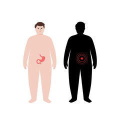 Organs in obese human body