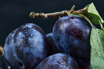 Group of fresh plums on a black background