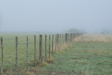 Fototapeta na wymiar Fence in the fields in a foggy morning