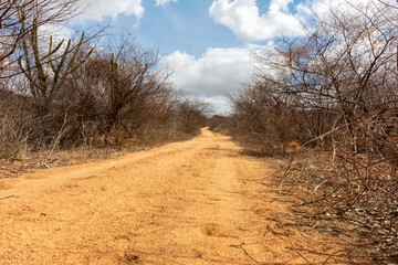 Estrada de terra em local deserto e seco
