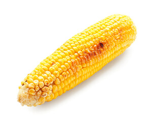 Tasty grilled corn cob on white background