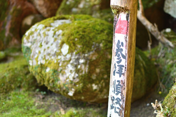 那智の滝への参拝道