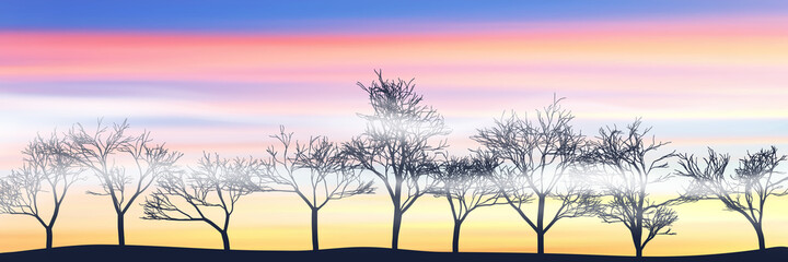 Plakat Silhouettes of trees against a bright sunrise, vector illustration