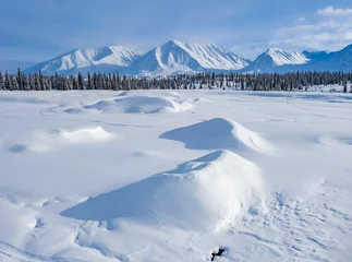 Cercles muraux Denali Alaska Aerial