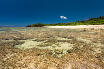 Some pools formed by a low tide between the corals, blue skies and the uninhabited beach in the background. Iriomote Island.