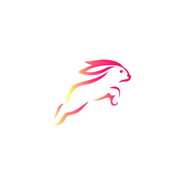 rabbit jump flash logo vector illustration

