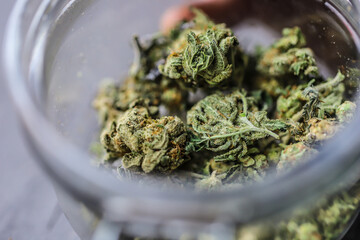 Morocco set to legalize cannabis production for medical use.  Cannabis is mostly grown in the northern mountains of morocco.