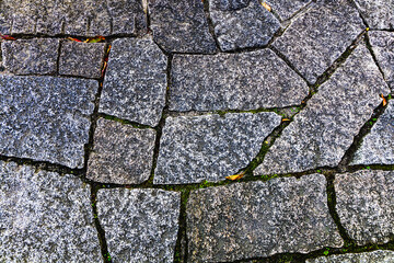 行ってみたくなるお城