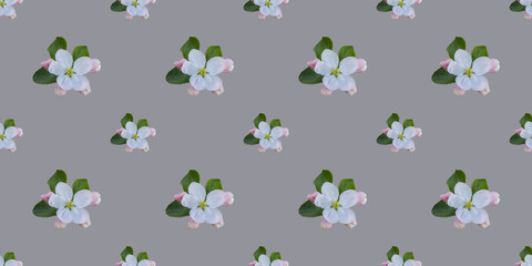 Seamless pattern with apple tree flowers