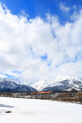 Fototapeta premium 北アルプスがそびえる白馬の雪に包まれた白い世界 
