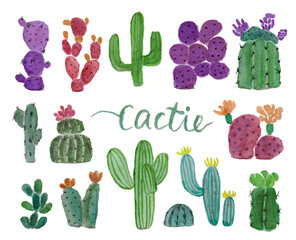 Cactus Watercolor Collection