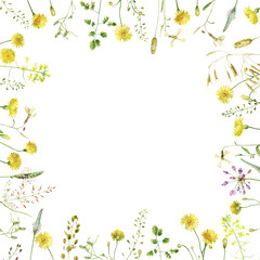 Obraz na płótnie Canvas Watercolor background of yellow wild flowers and herbs on white background 