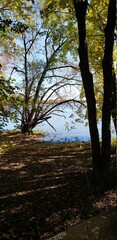 Nature on the north shore of Montreal 