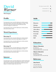 Professional CV / Clean resume for professional purposes
