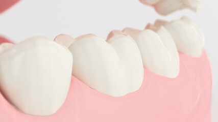 Close-up of molars. 3D Render