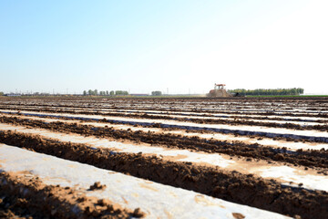 Farmers drive seeders to grow Plastic Mulched peanuts on the farm.