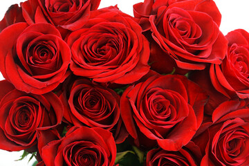 fresh red roses in a bouquet as background