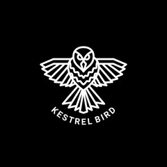 vector Kestrel bird. Abstract emblem, design concept, logo, logotype element for template.