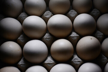 pile of chicken eggs on a dark background