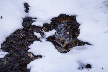 Badly frozen in Bucegi National Park, Romania.