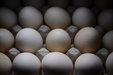 pile of chicken eggs on a dark background