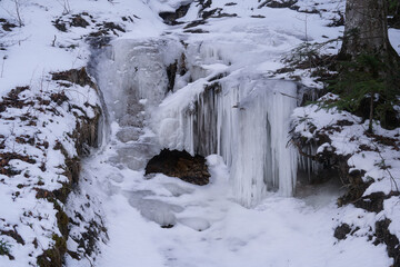 Fototapeta premium Badly frozen in Bucegi National Park, Romania.
