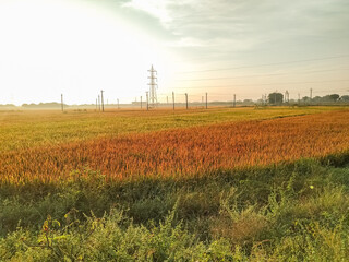 Beautiful pic of morning time with beautiful colours