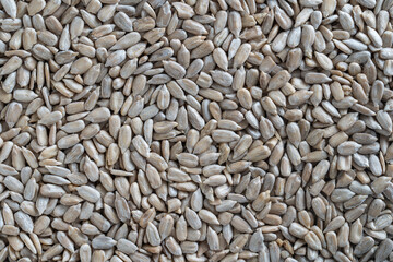 Peeled sunflower seeds pile background, close up